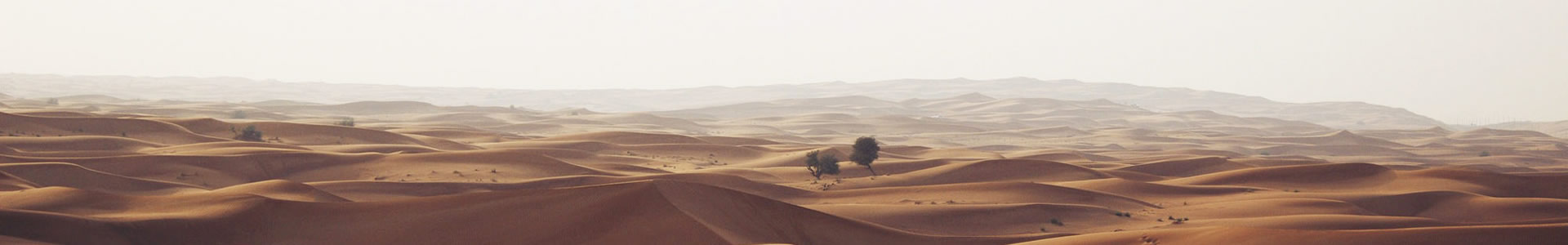 ɽŷ޹˾